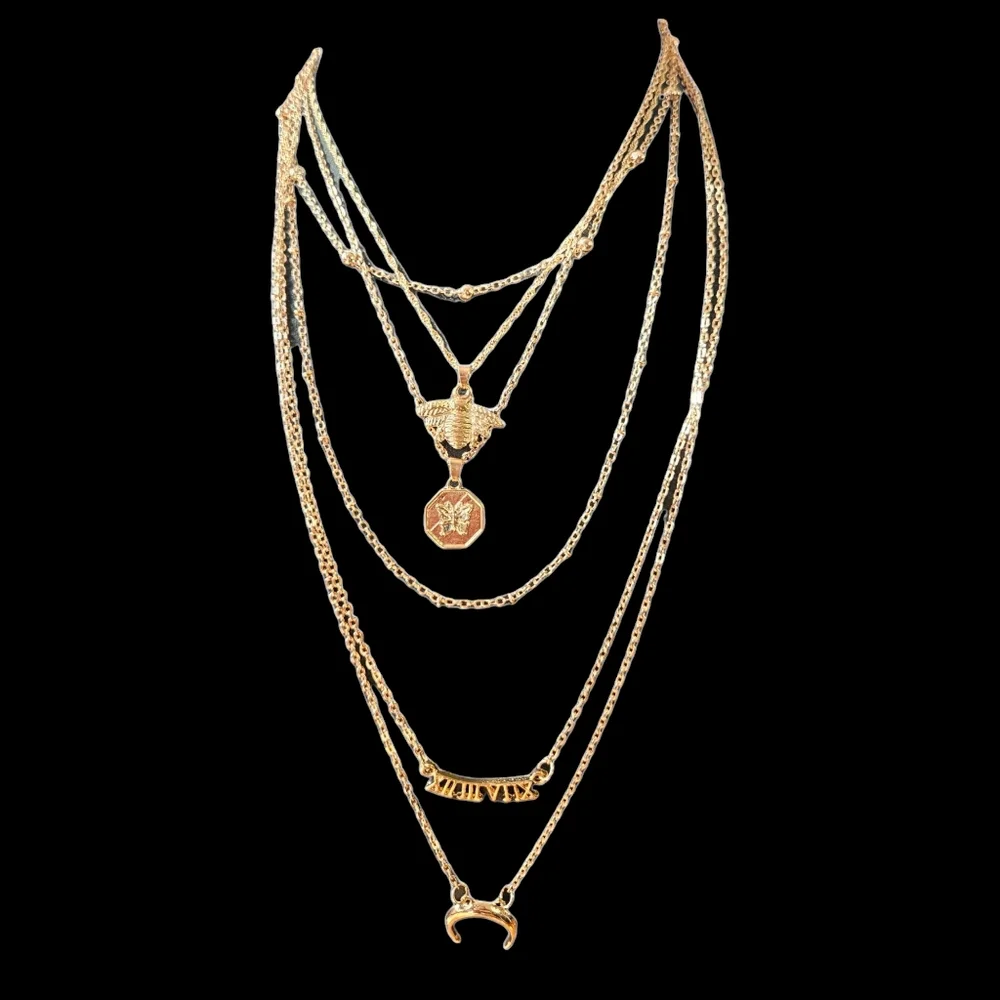 Multi Layer Necklace - Picture 3 of 3